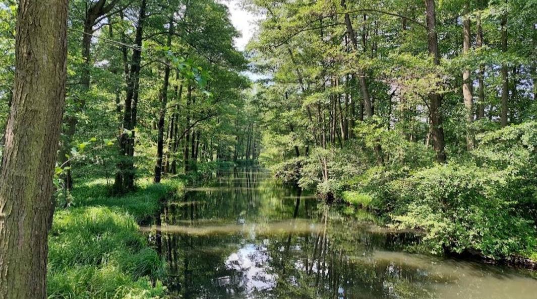 Spreewald Spreemilia Gurkenbude Апартаменты *